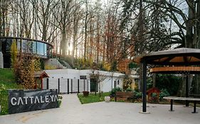 Resort Cattaleya